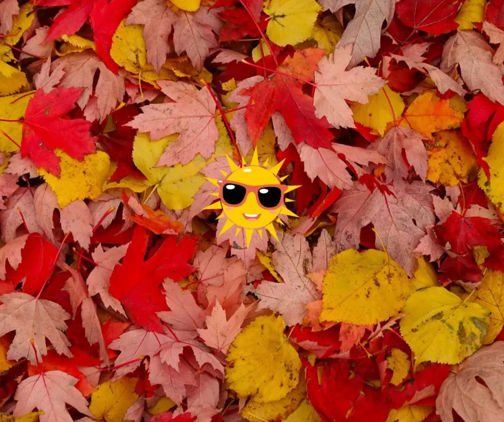 Farmer’s Almanac Warns of Weird Fall Weather for NJ in 2025